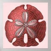 Red Sand Dollar Poster Print (Vorne)
