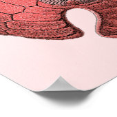 Red Sand Dollar Poster Print (Ecke)