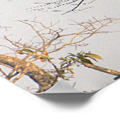 Red-schuldig-Hawk-Foto-Poster Poster (Ecke)