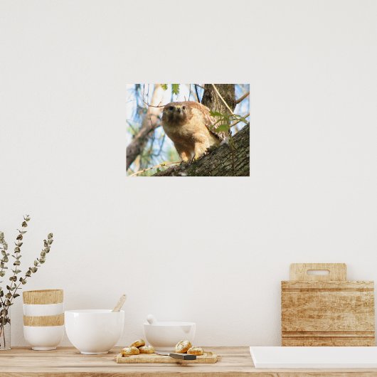 Red-schuldig-Hawk-Poster Poster (Küche)