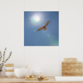 Red Schulter Hawk Bright Sun Fotografierkunst Poster (Küche)