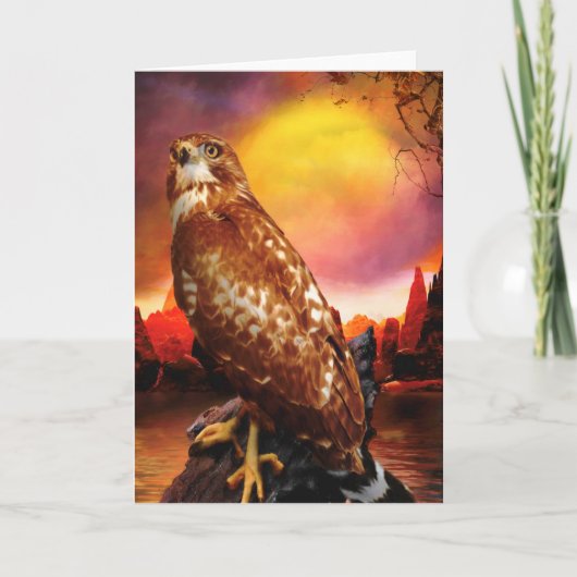 Red Schulter Hawk LAST DESERT LIGHTS Karte (Vorderseite)
