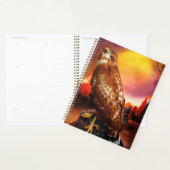 Red Schulter Hawk LAST DESERT LIGHTS Planer (Anzeige)
