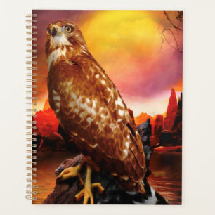 Red Schulter Hawk LAST DESERT LIGHTS Planer