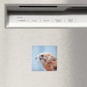 Red Schulter Hawk Magnet (In Situ (Geschirrspüler))