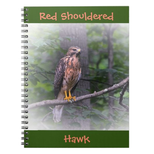 Red Schulter Hawk Notizblock (Vorderseite)