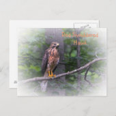 Red Schulter Hawk Postkarte (Vorne/Hinten)