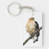 Red Schulter Hawk Schlüsselanhänger (Vorderseite)