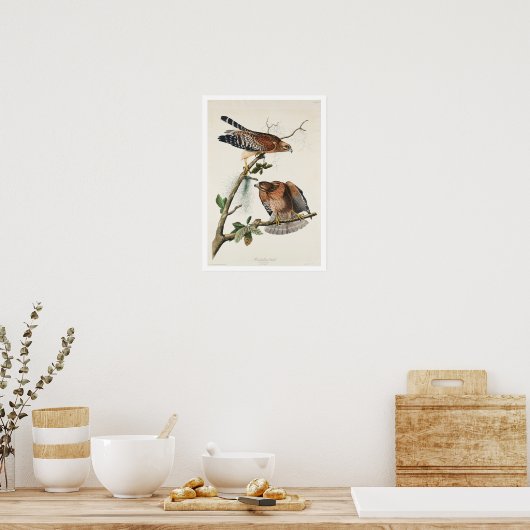 Red-schulter Hawk von Audubon Poster (Küche)