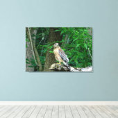 Red Schulter Hawk Wrapped Canvas Print Leinwanddruck (Insitu (Holzboden))