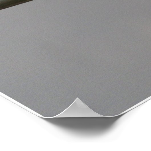 Red Schwanz Escort Poster (Ecke)