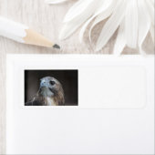 Red Schwanz Hawk Adressetiketten (Insitu)