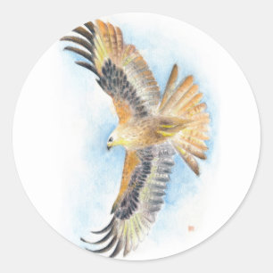 Red Schwanz Hawk Art Runder Aufkleber