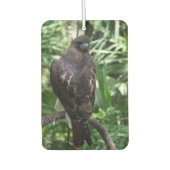 Red Schwanz Hawk Bird Autolufterfrischer (Vorderseite)