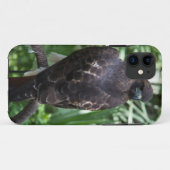 Red Schwanz Hawk Bird Case-Mate iPhone Hülle (Rückseite (Horizontal))