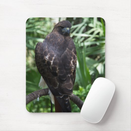 Red Schwanz Hawk Bird Mousepad (Mit Mouse)
