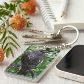 Red Schwanz Hawk Bird Schlüsselanhänger (Vorderseite rechts)