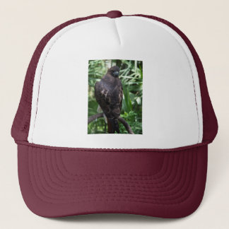 Red Schwanz Hawk Bird Truckerkappe