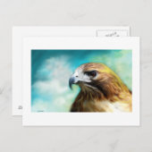 Red Schwanz Hawk Card Postkarte (Vorne/Hinten)