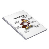 Red-Schwanz Hawk Cartoon Notizblock (Rechte Seite)