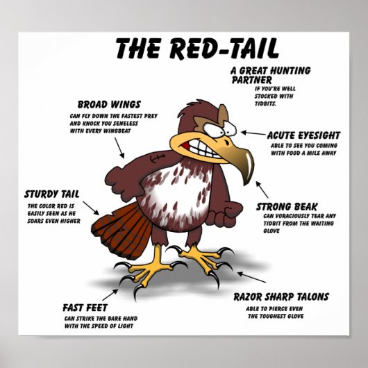 Red-Schwanz Hawk Cartoon Poster (Vorne)