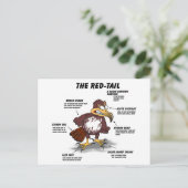 Red-Schwanz Hawk Cartoon Postkarte (Stehend Vorderseite)