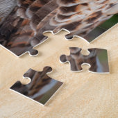 Red Schwanz Hawk Closeup Puzzle (Seite)