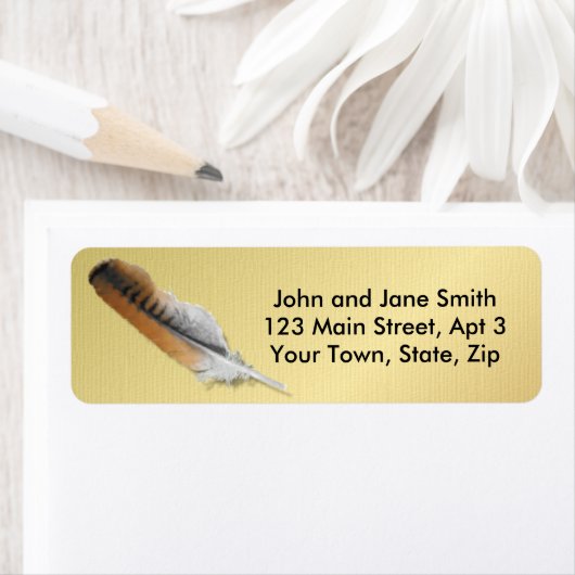 Red-Schwanz Hawk feather (Insitu)