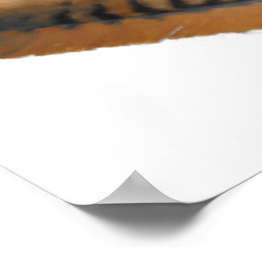 Red-Schwanz Hawk feather Poster (Ecke)