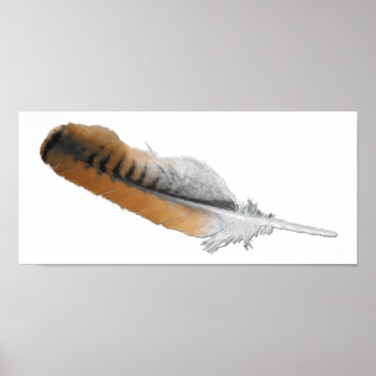 Red-Schwanz Hawk feather Poster (Vorne)