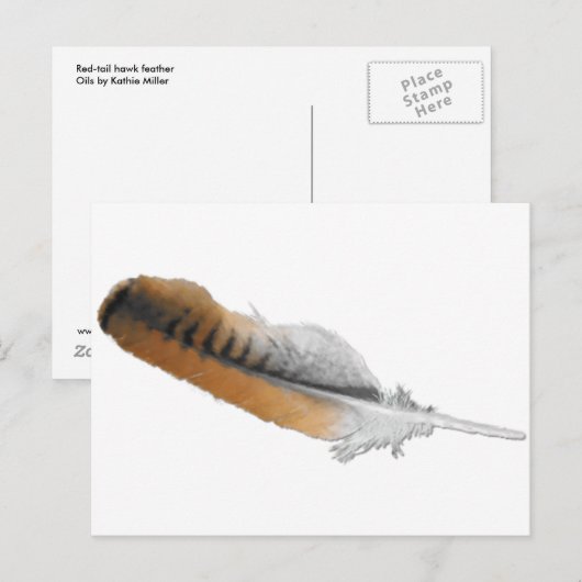 Red-Schwanz Hawk feather Postkarte (Vorne/Hinten)