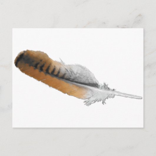 Red-Schwanz Hawk feather Postkarte (Vorderseite)