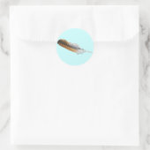 Red-Schwanz Hawk feather Runder Aufkleber (Tasche)