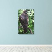 Red Schwanz Hawk Fotografie Wrapped Canvas Leinwanddruck (Insitu (Holzboden))