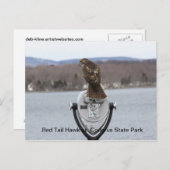 Red Schwanz Hawk im Codorus Staat Park Postkarte (Vorne/Hinten)