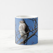Red Schwanz Hawk Kaffeetasse (Mittel)