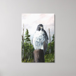 Red Schwanz Hawk Leinwanddruck