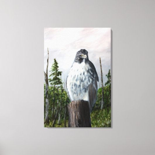 Red Schwanz Hawk Leinwanddruck (Vorderseite)