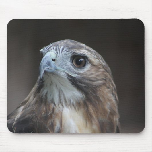 Red Schwanz Hawk Mouse Pad Mousepad (Vorne)