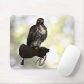 Red-Schwanz Hawk on Glove Mousepad (Mit Mouse)