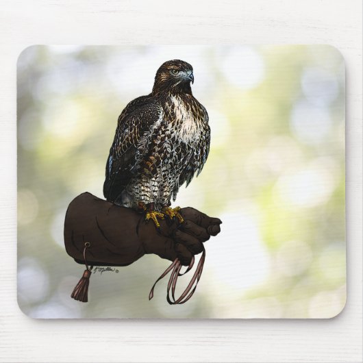Red-Schwanz Hawk on Glove Mousepad (Vorne)
