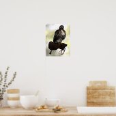 Red-Schwanz Hawk on Glove Poster (Küche)