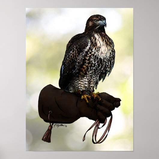 Red-Schwanz Hawk on Glove Poster (Vorne)