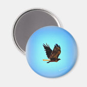 Red Schwanz Hawk Picture Magnet (Vorderseite/Rückseite)