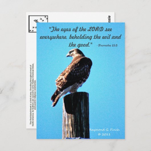 Red Schwanz Hawk - Postcard - Sprichwörter 15:3 Postkarte (Vorne/Hinten)