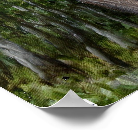 Red Schwanz Hawk Poster (Ecke)