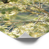 Red-Schwanz Hawk Poster (Ecke)