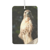 Red Schwanz Hawk Stare Down Autolufterfrischer (Vorderseite)