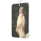 Red Schwanz Hawk Stare Down Autolufterfrischer (Links)