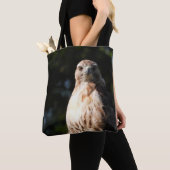 Red Schwanz Hawk Stare Tasche (Von Nahem)